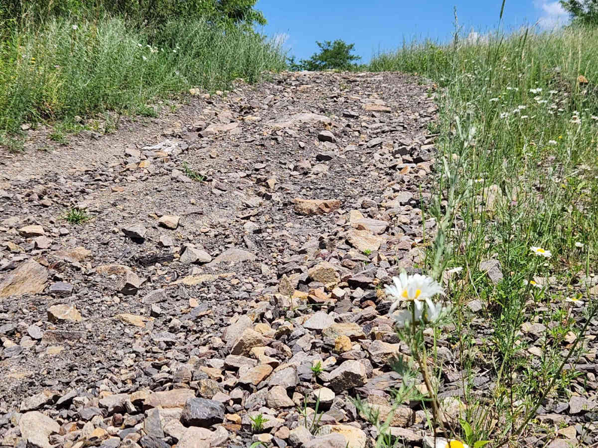 Trail 5I - Rock Run Recreation Area photo 2
