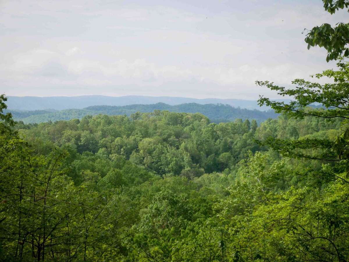 OP 49 trail photo