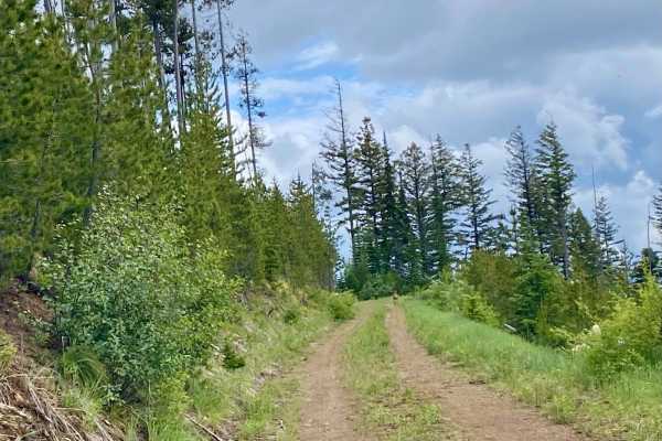 Upper Idaho Gulch