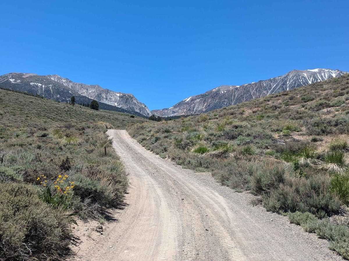 Walker Lake Trailhead trail photo