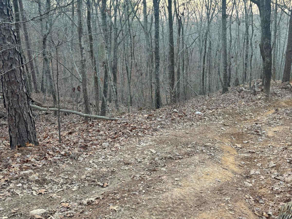 Lincoln View Trail photo 5