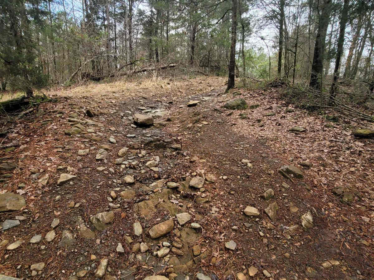 Copperhead Bypass photo 4