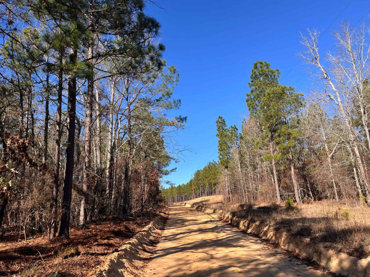 Gunter Pond Road photo 4