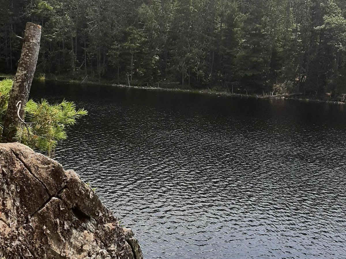 Concession Lake photo 5
