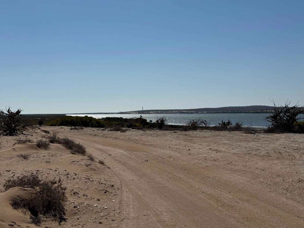 Estero Loop photo 6