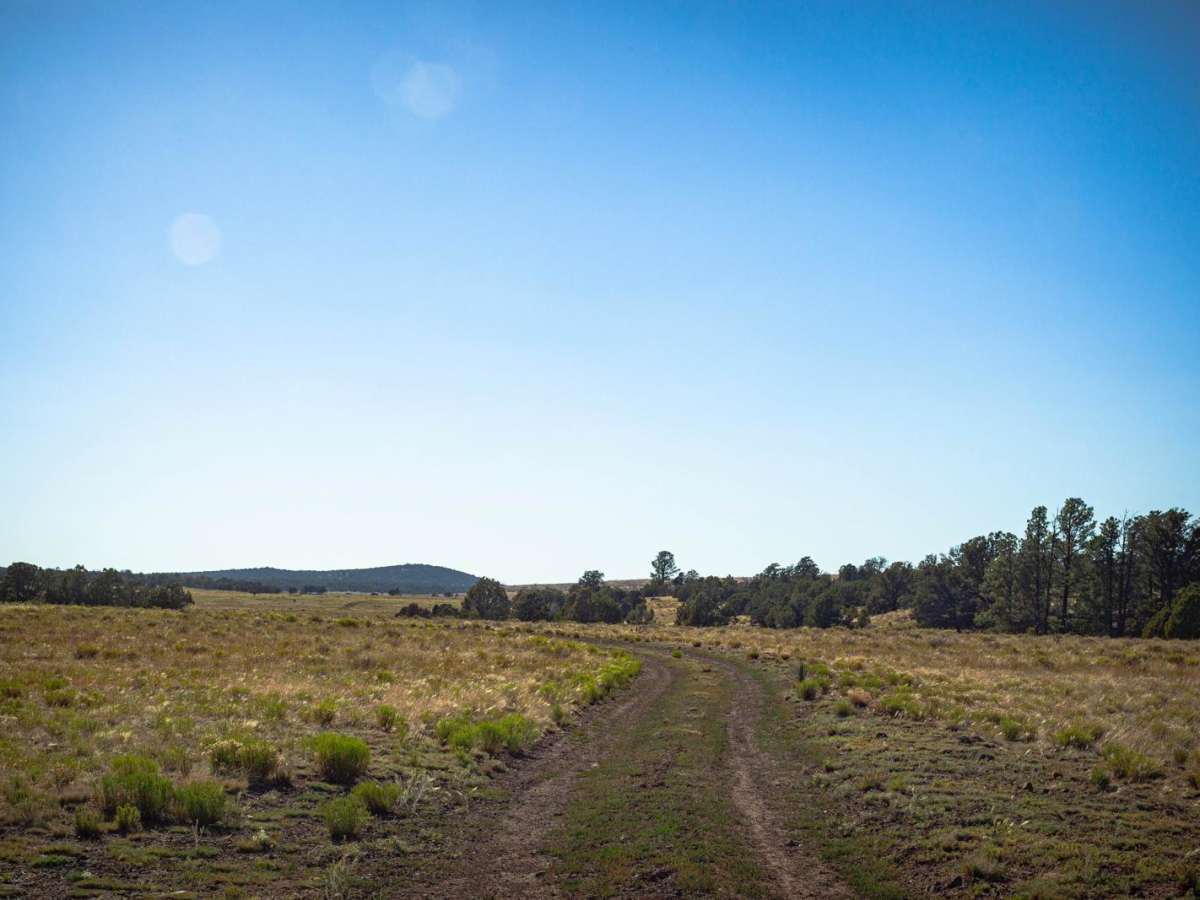 Hidden Hibben trail photo