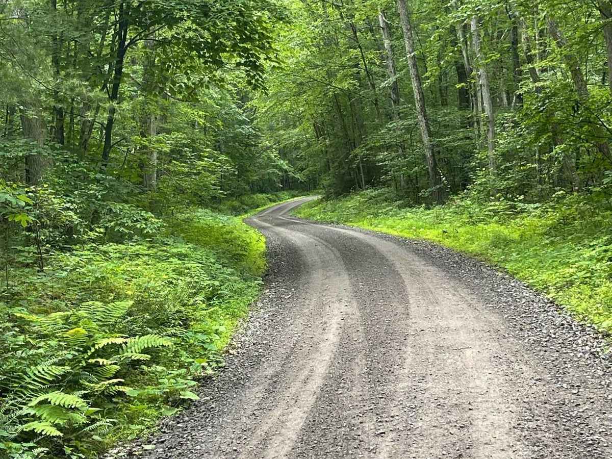 Cove Road photo 3