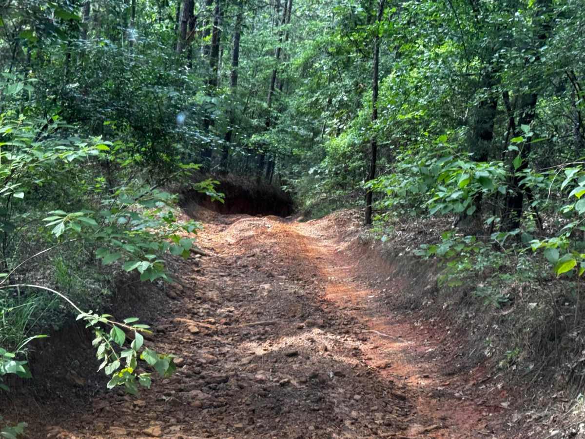 Sunday Cruise trail photo