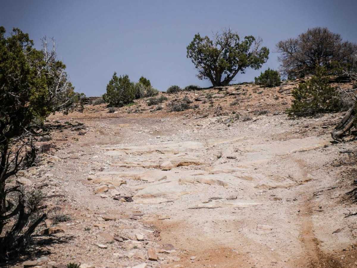 BLM Route 80A photo 2