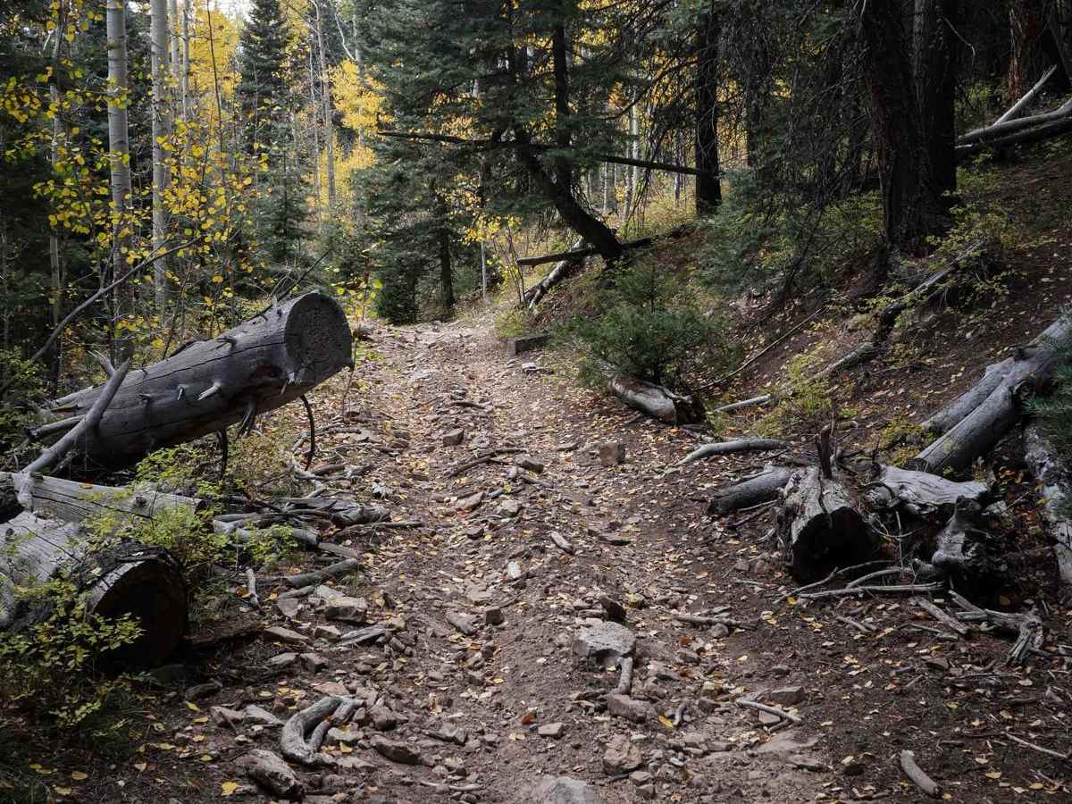Mule Mountain photo 3