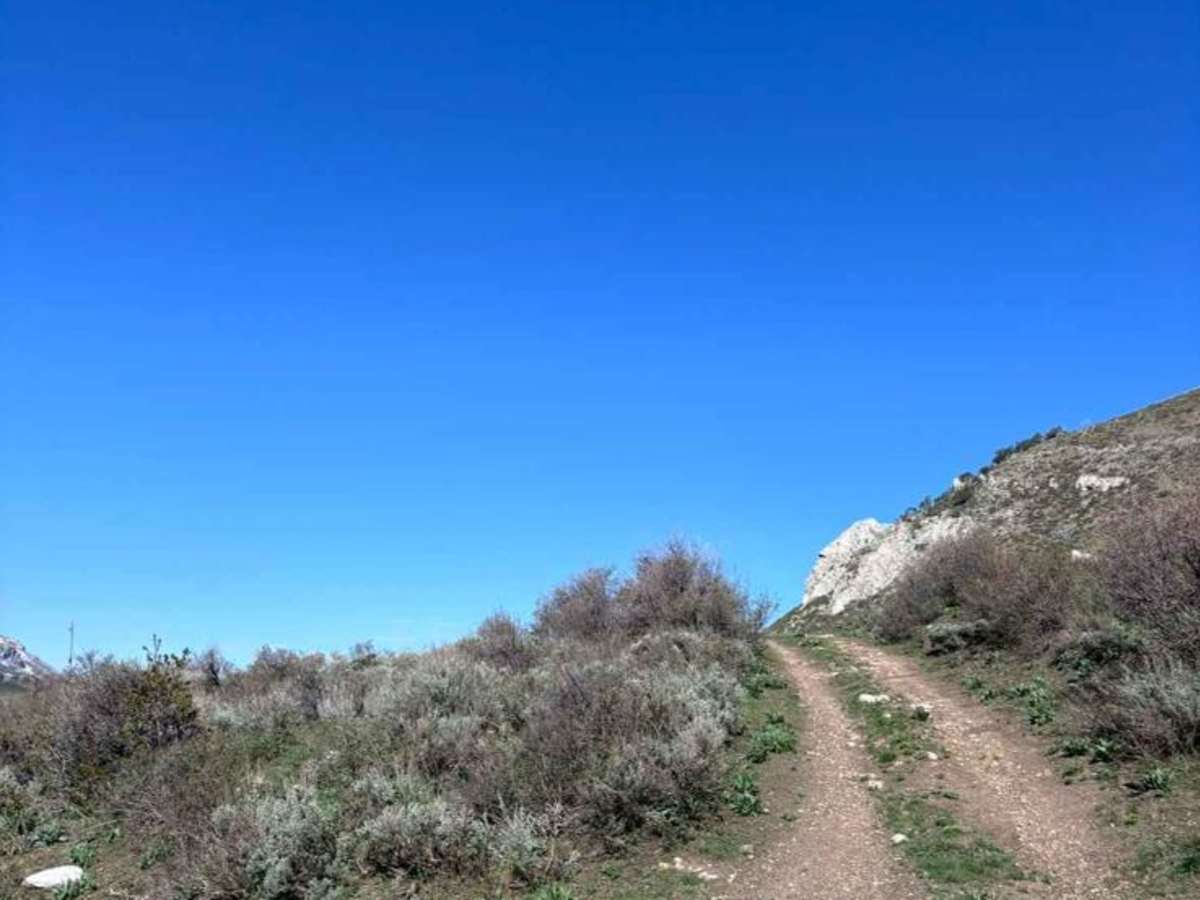 Black Pine Spring trail photo