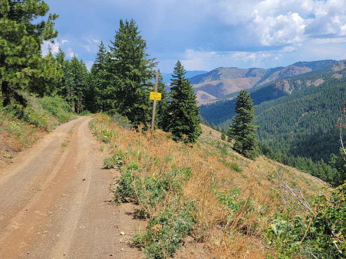 Poorman Creek Road (NF 4300300) photo 4