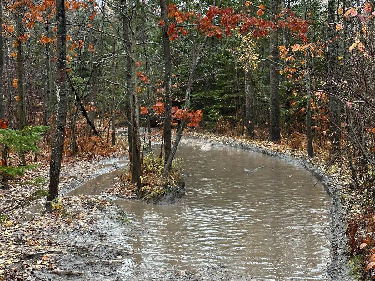 Shale Beach trail photo