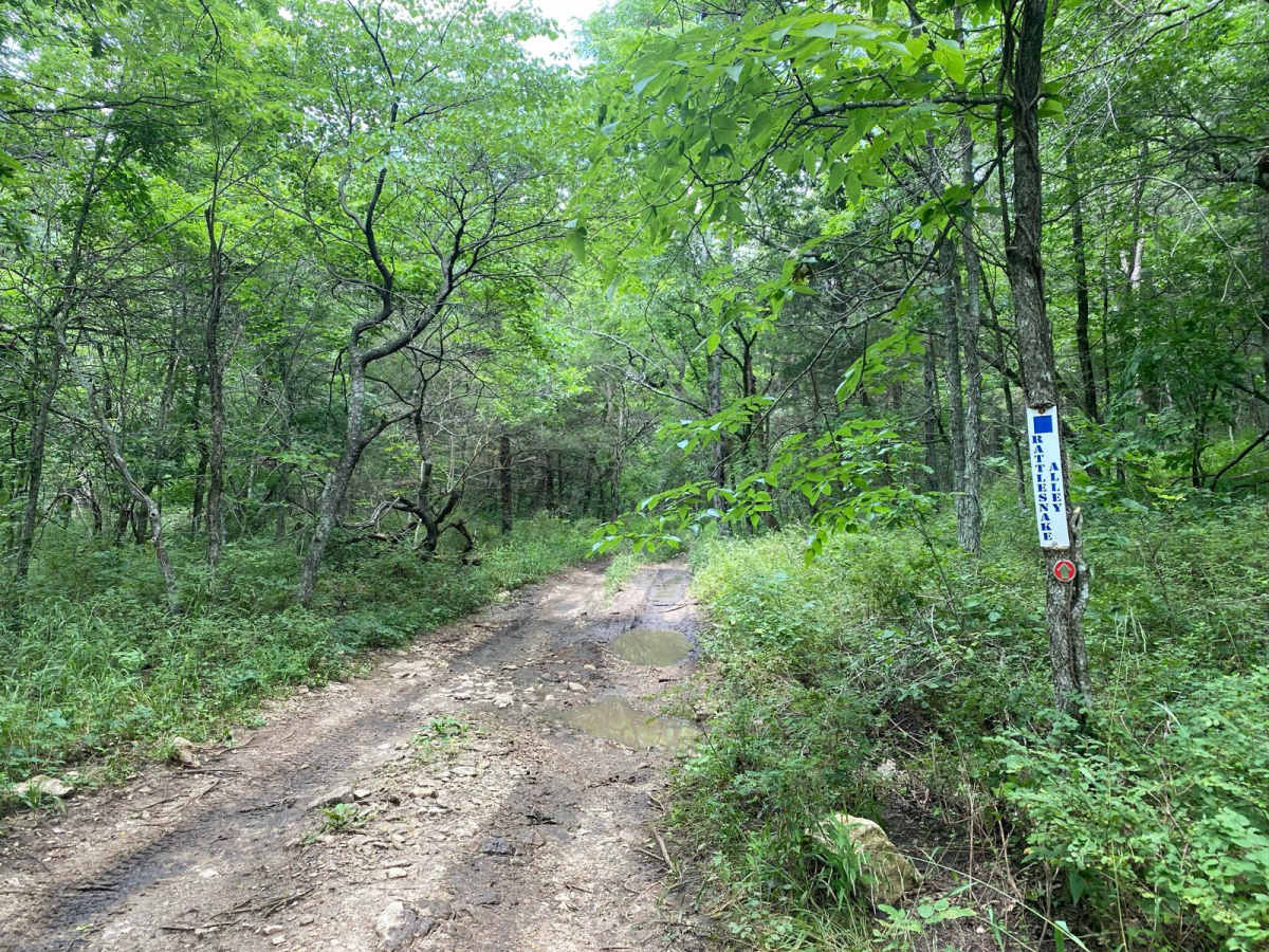 Rattlesnake Alley trail photo
