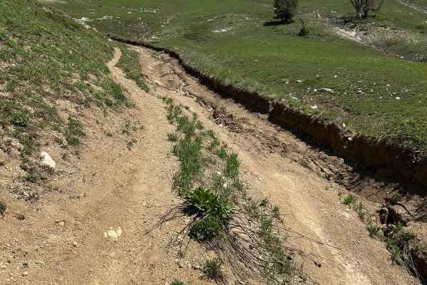 Mill Flat Gulch