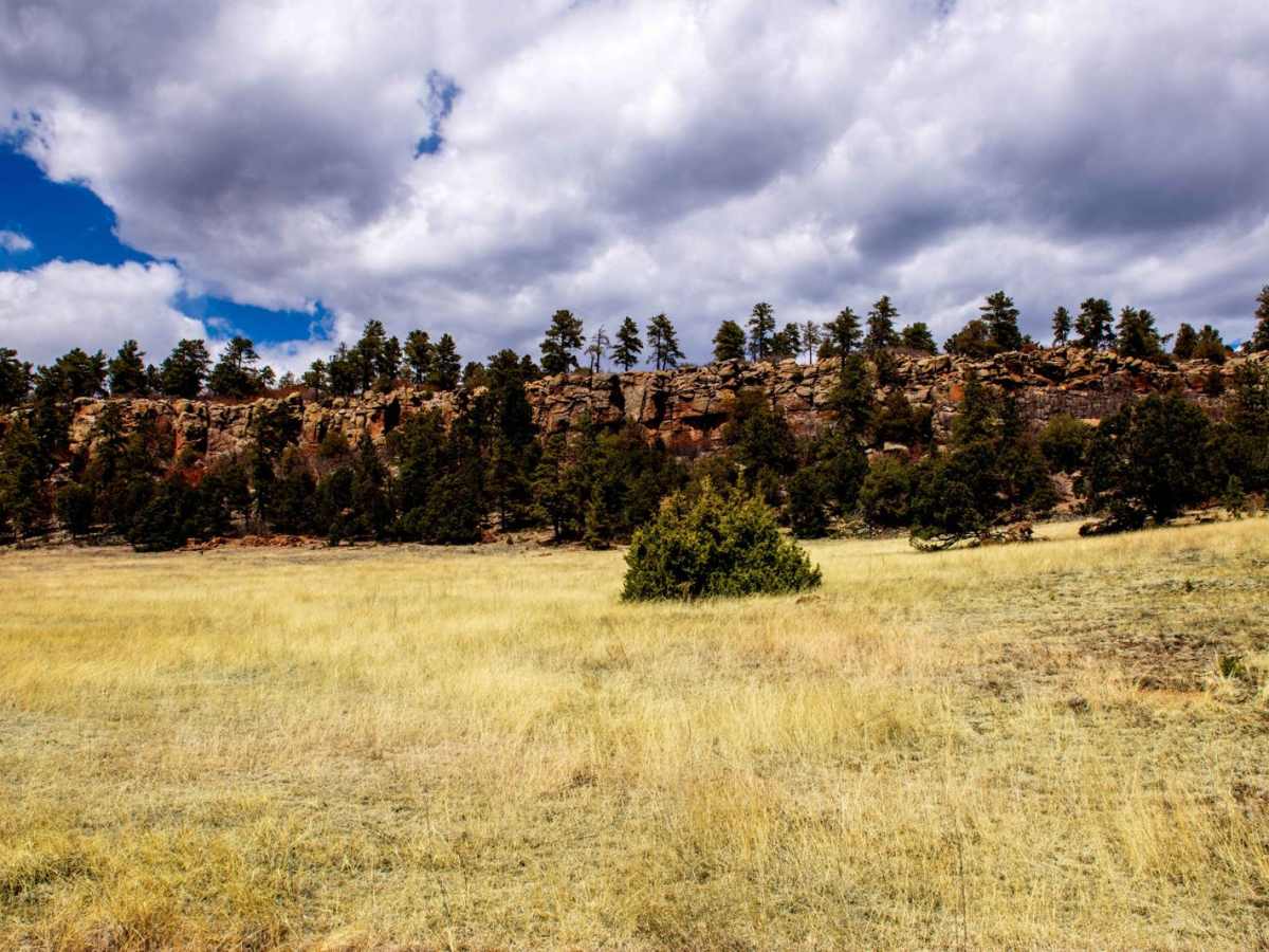 The Banks BLM Road 5820 photo 2