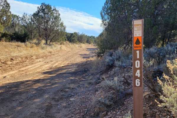 Grassy Point Road - BLM 1046