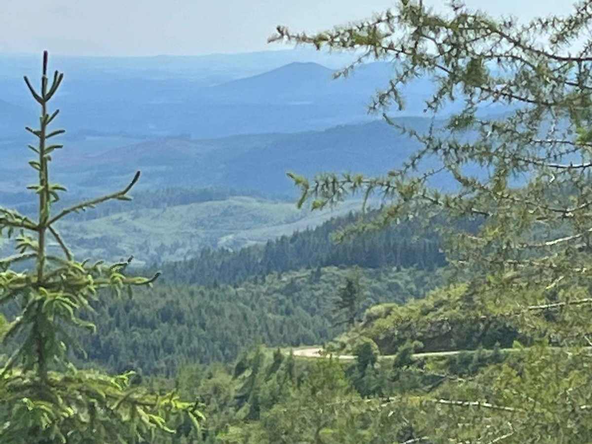 Bovill - Hemlock Butte photo 4