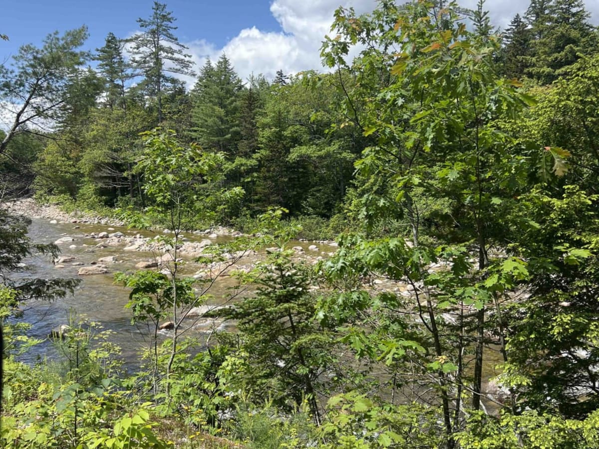 Wild River Road photo 2