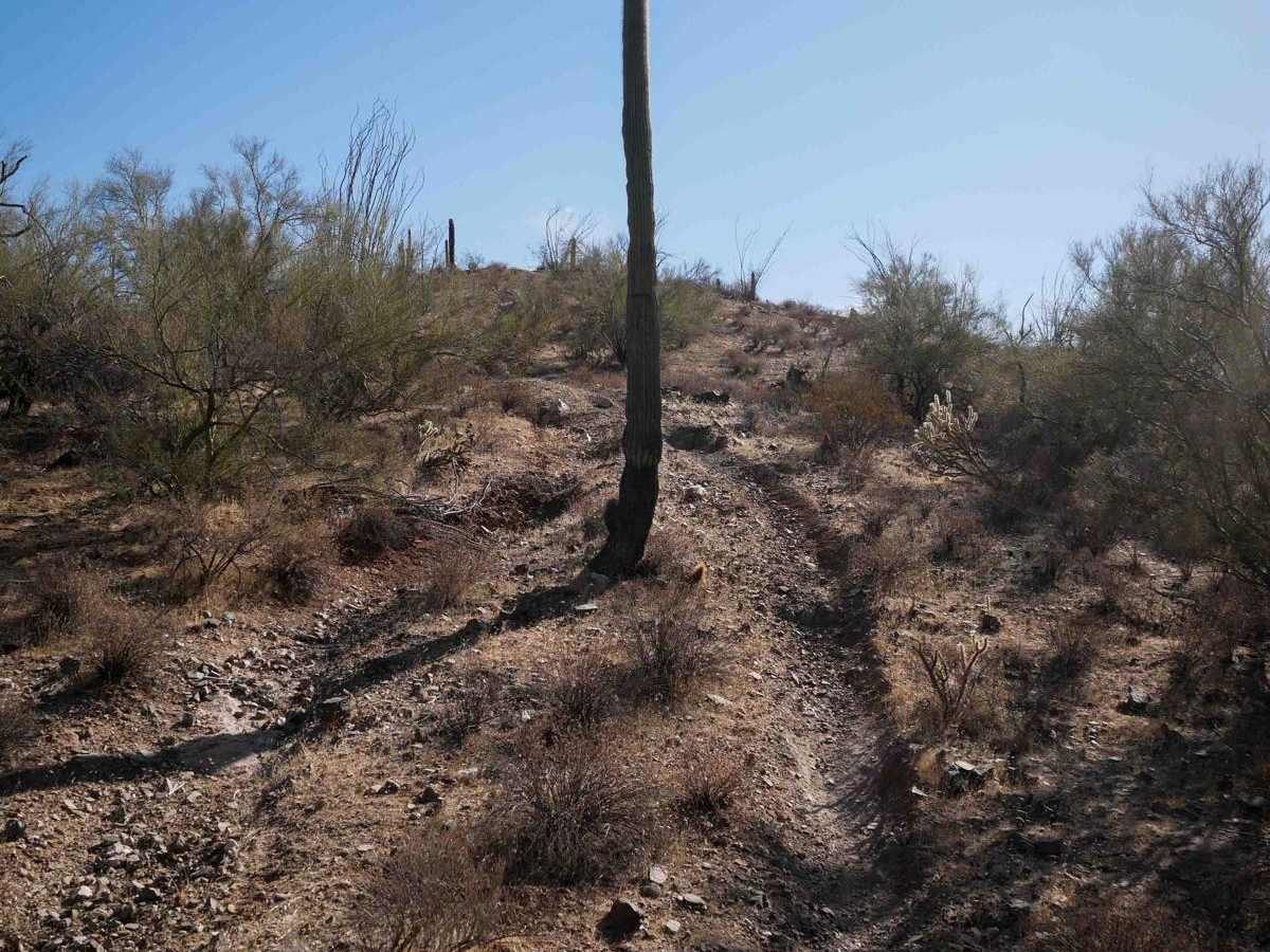 31008 trail photo