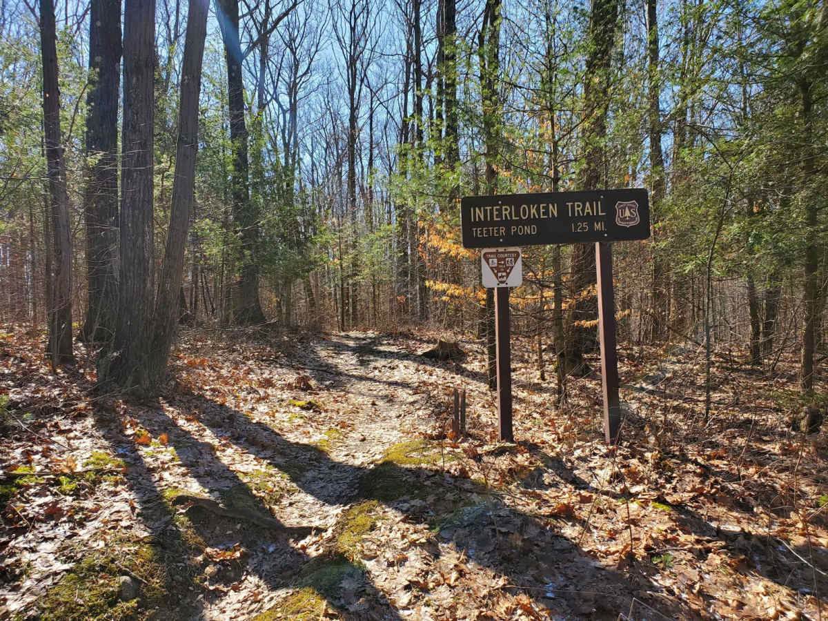 Wilkens Townsend Road photo 4