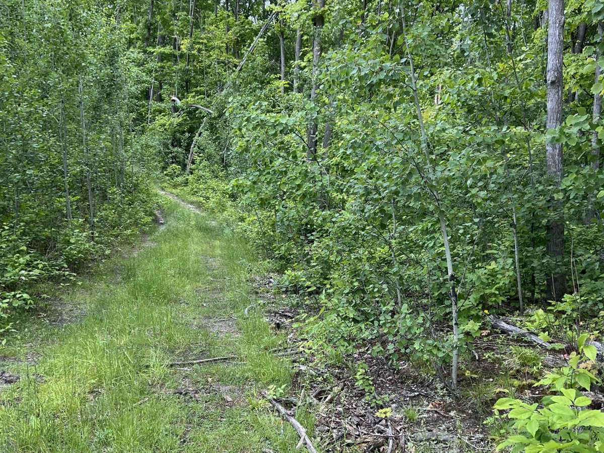 Avery Lake Sidetrack photo 3