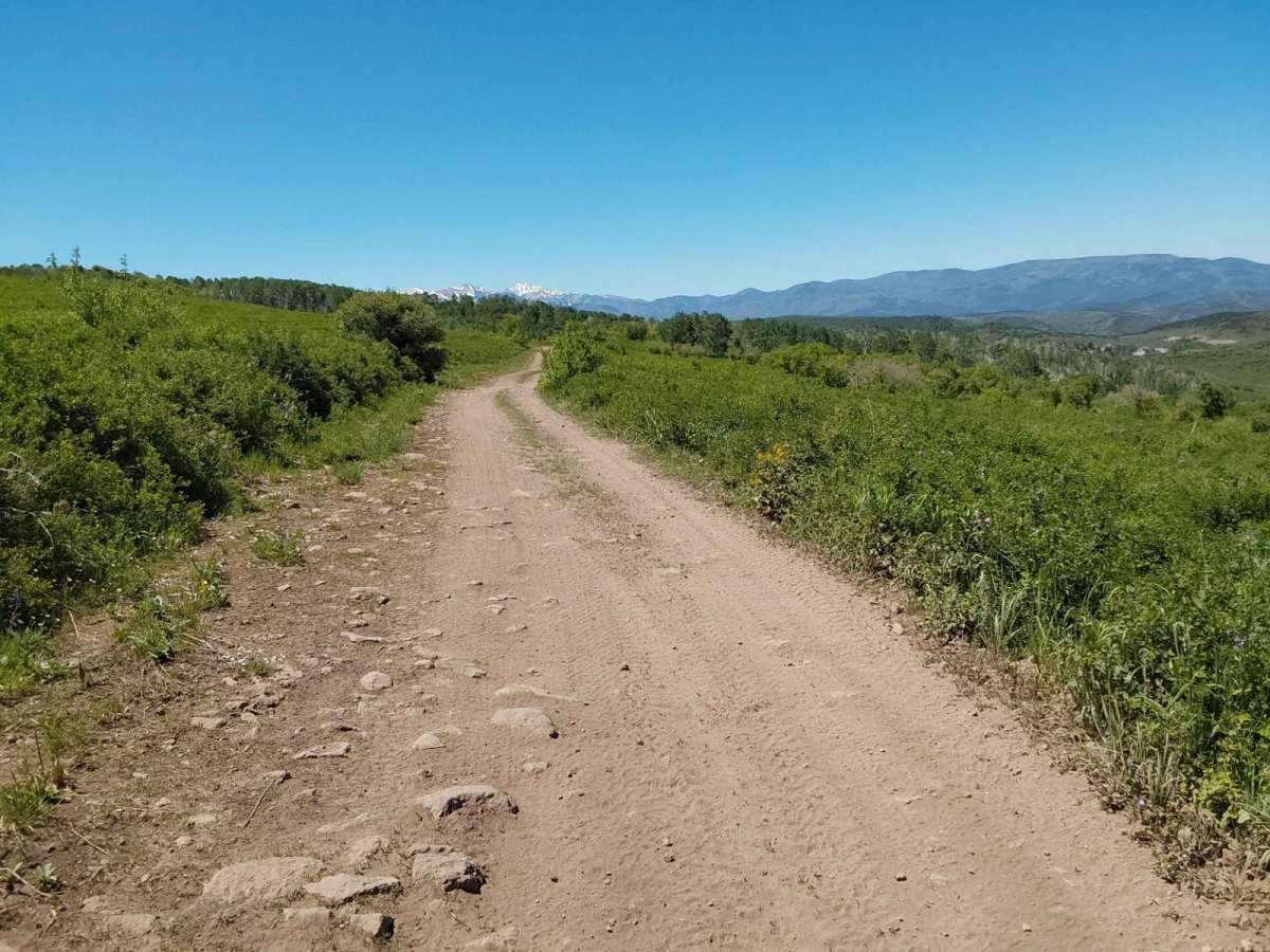 Roy's Elk Bugling Trail photo 4
