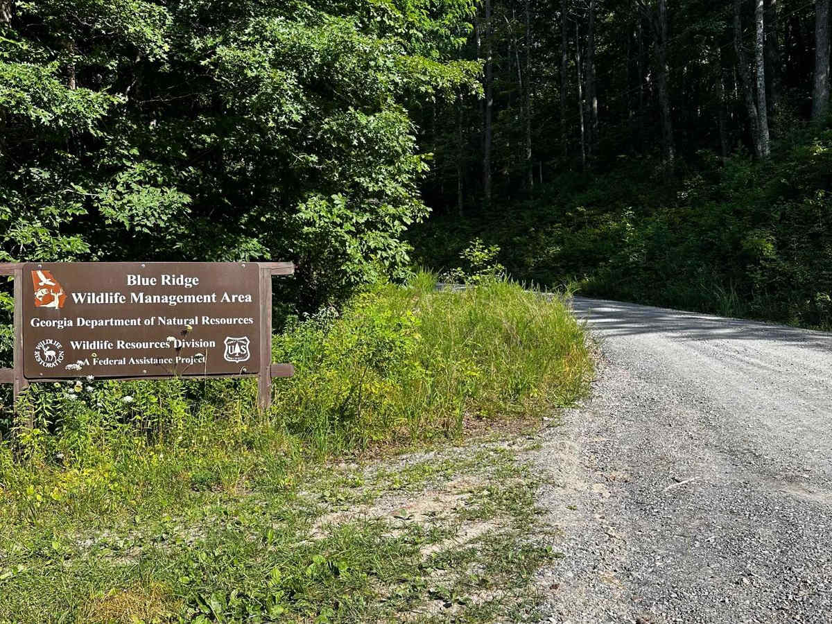 Springer Mountain Trail photo 4