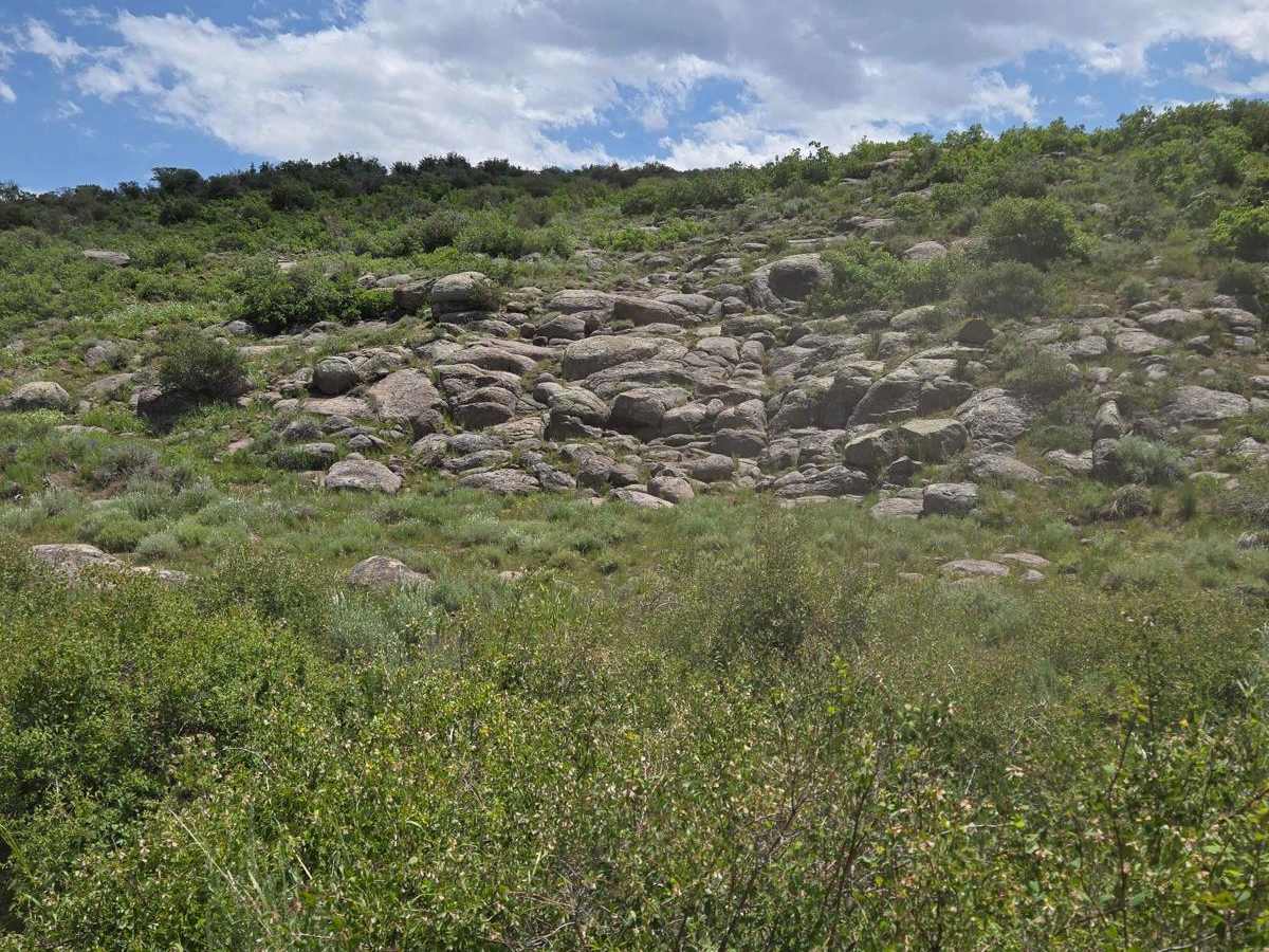 Butler Springs Trail - FS40359 photo 4