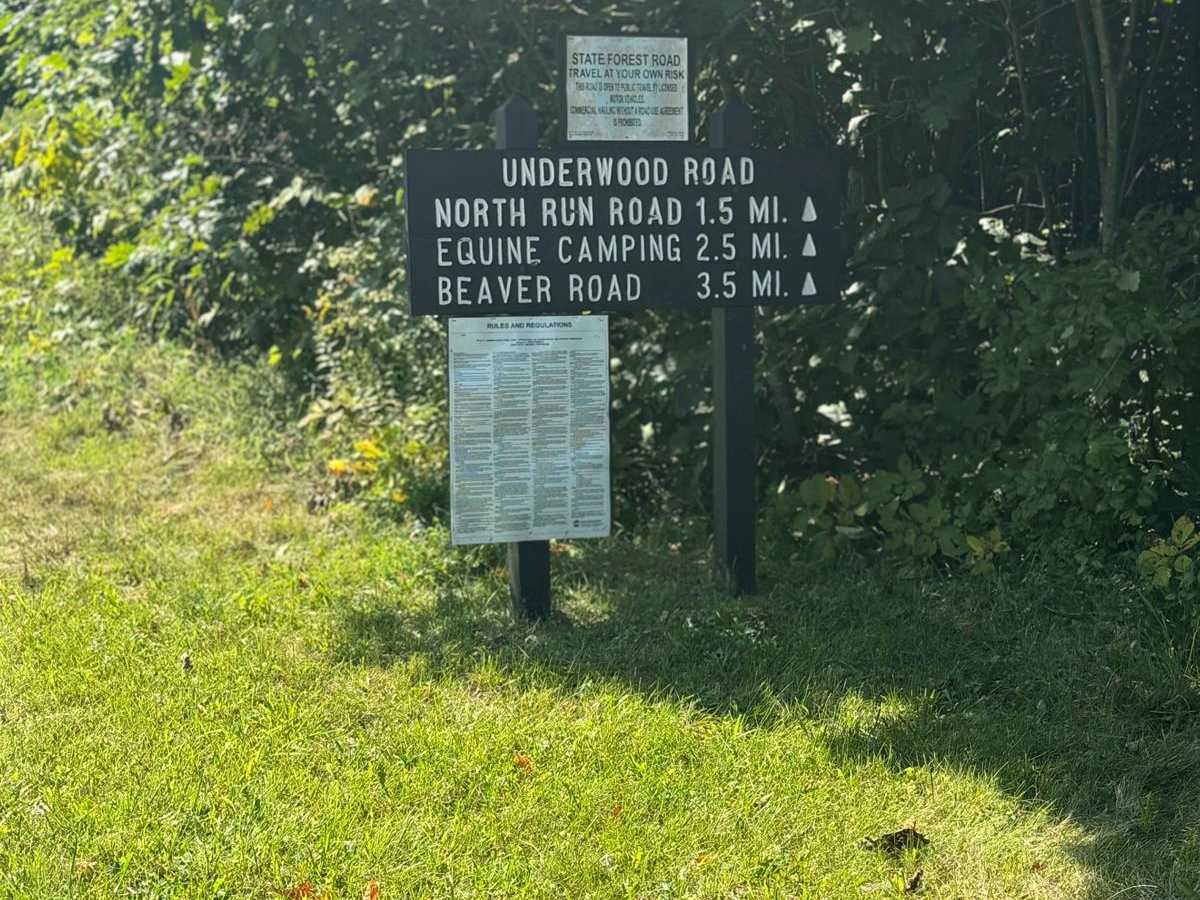 Underwood Road photo 5