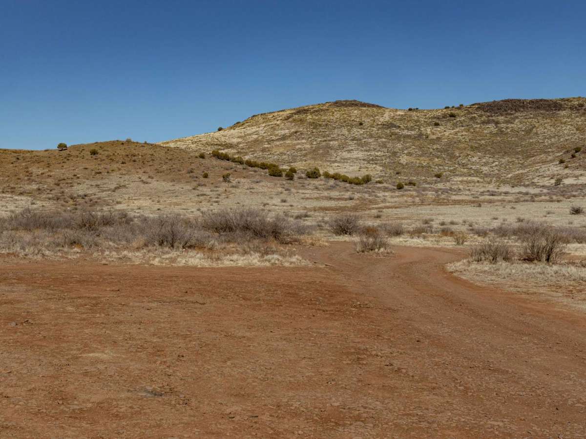 Heifer trail photo