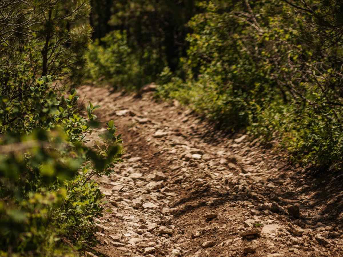 Raspberry Ridge photo 2