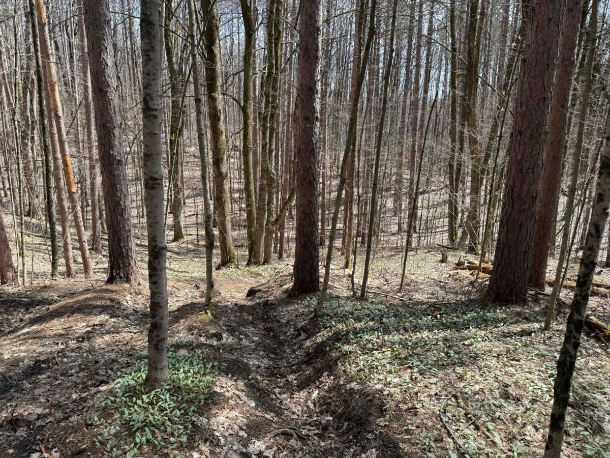 Caberfae Spur photo 4