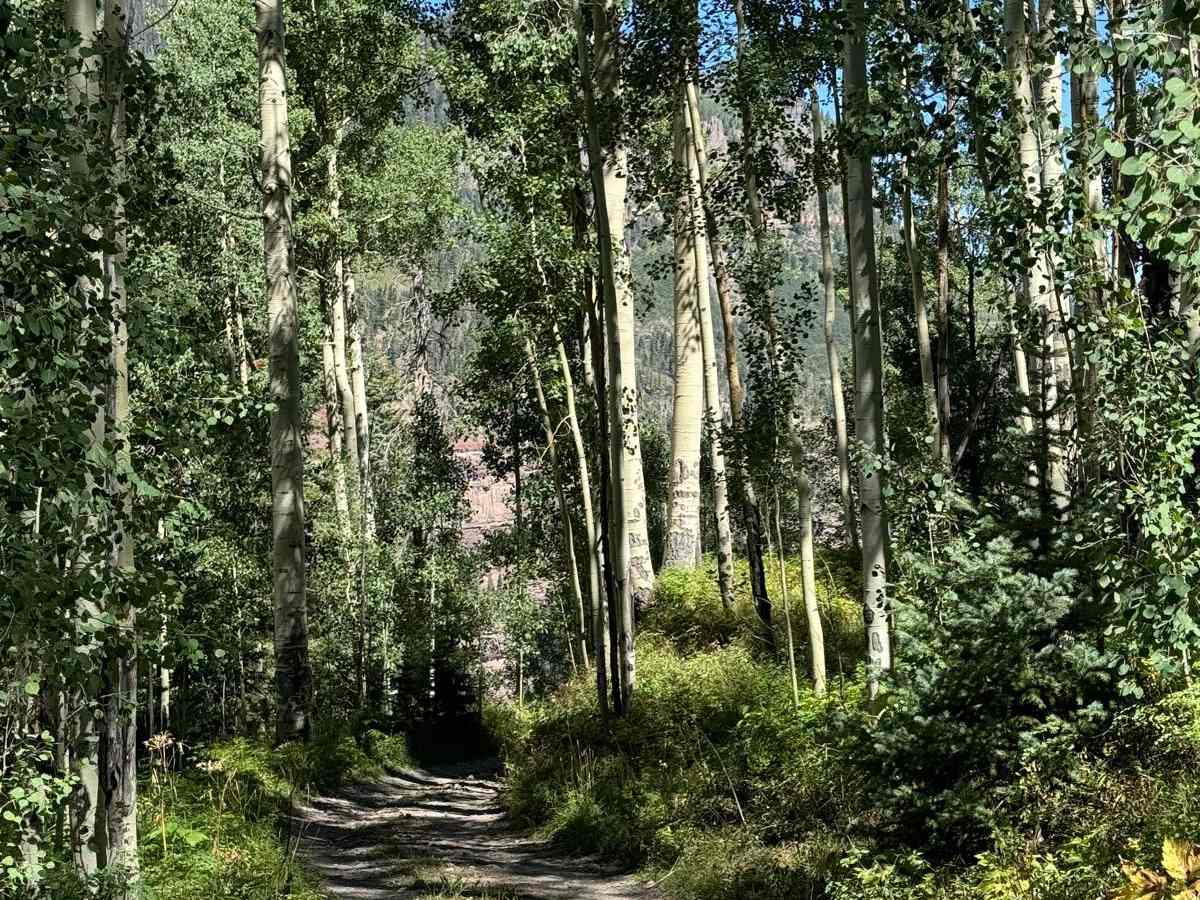 Cutler Mine photo 3