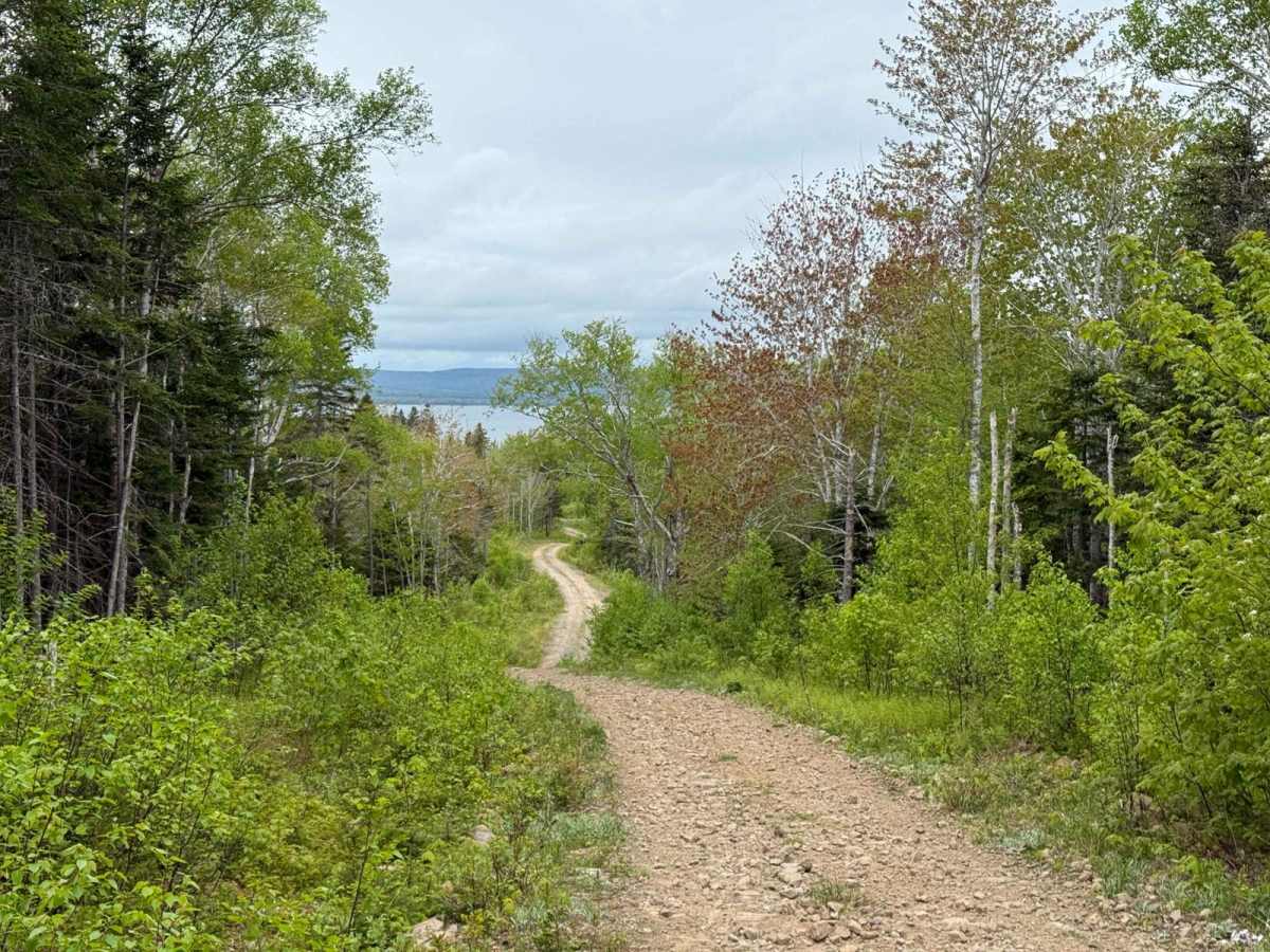 Gillanders Mountain Road West photo 2