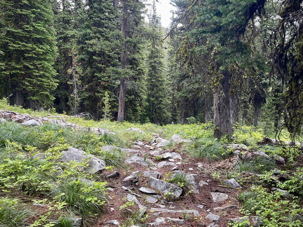 Divide NRT (Ditch Creek to Twin Creek Ridge) photo 4
