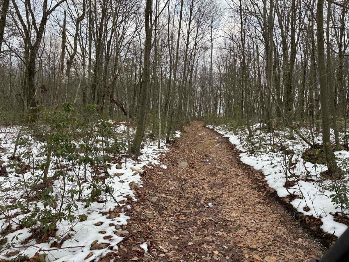Ashland 183 trail photo