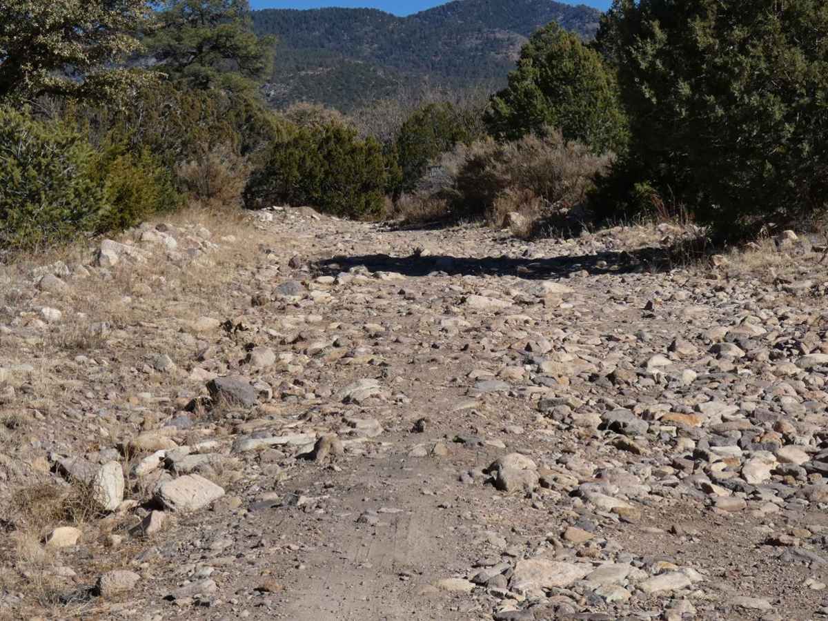 Mill Canyon photo 5