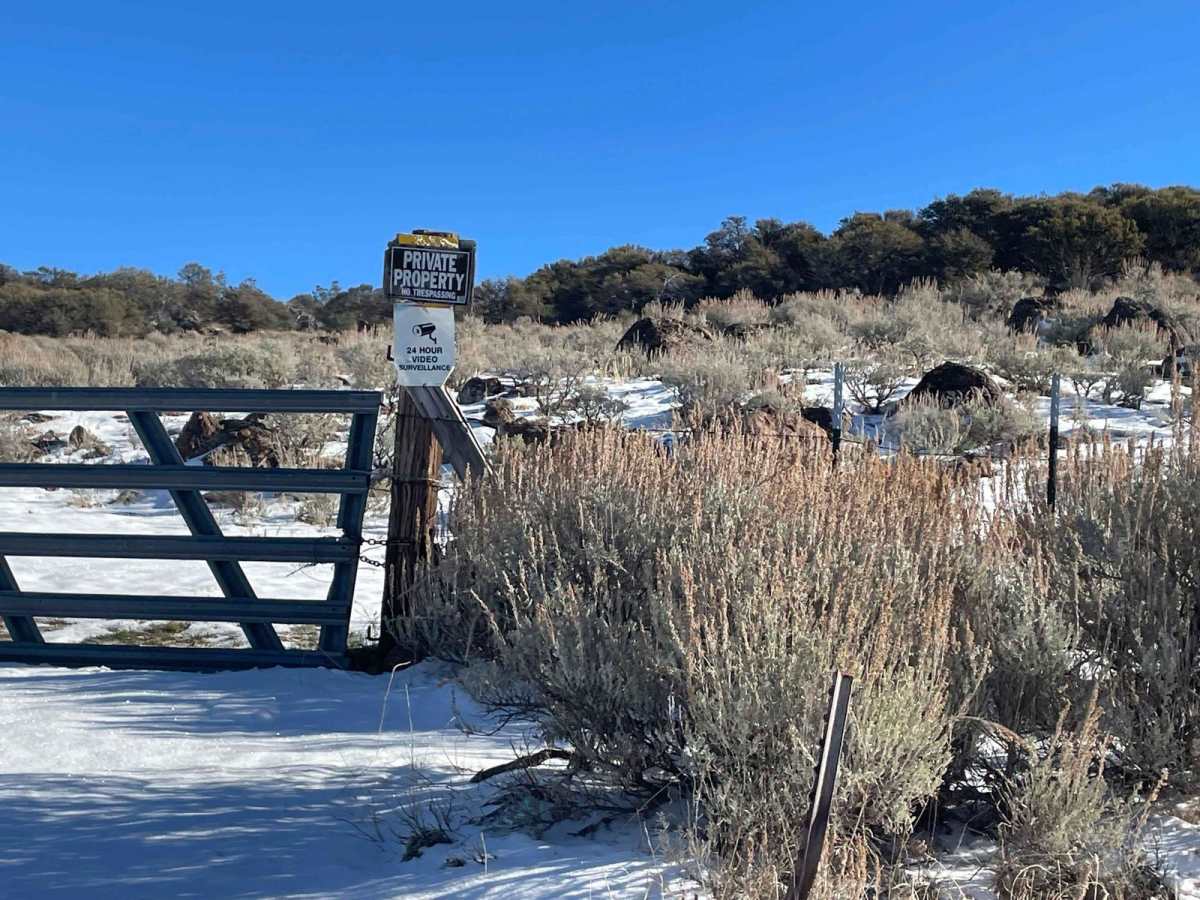 Gunsight Pass trail photo