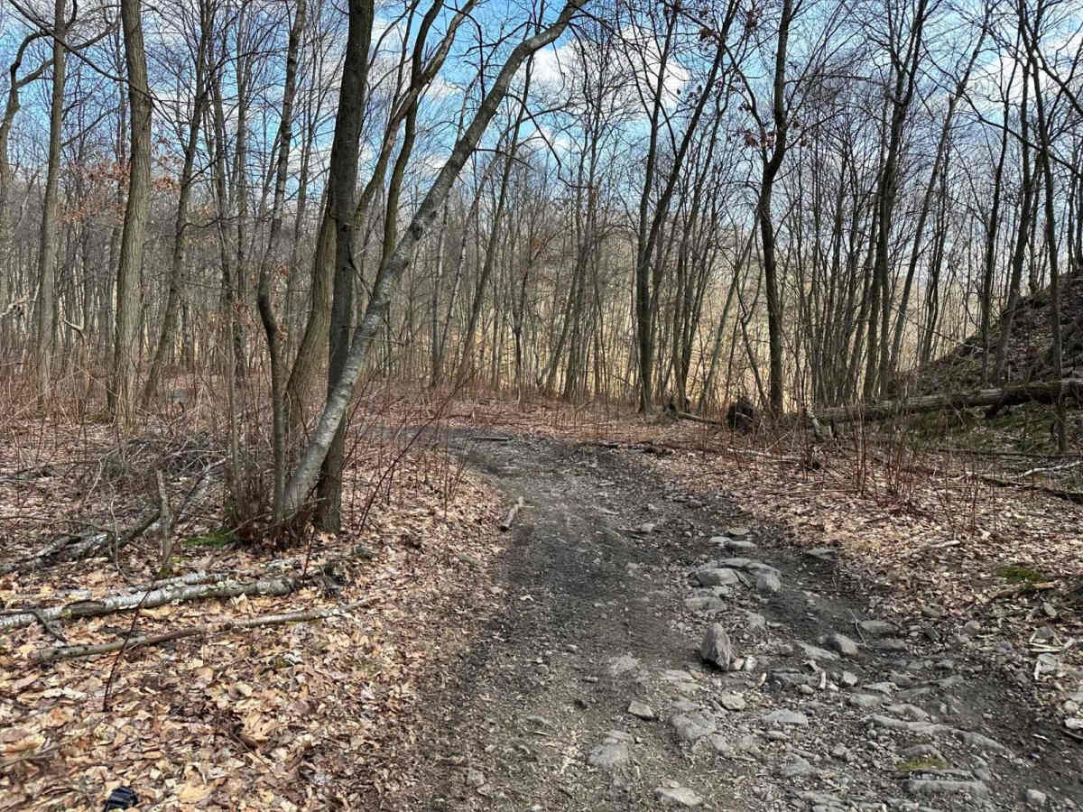 Ashland 26 - B trail photo