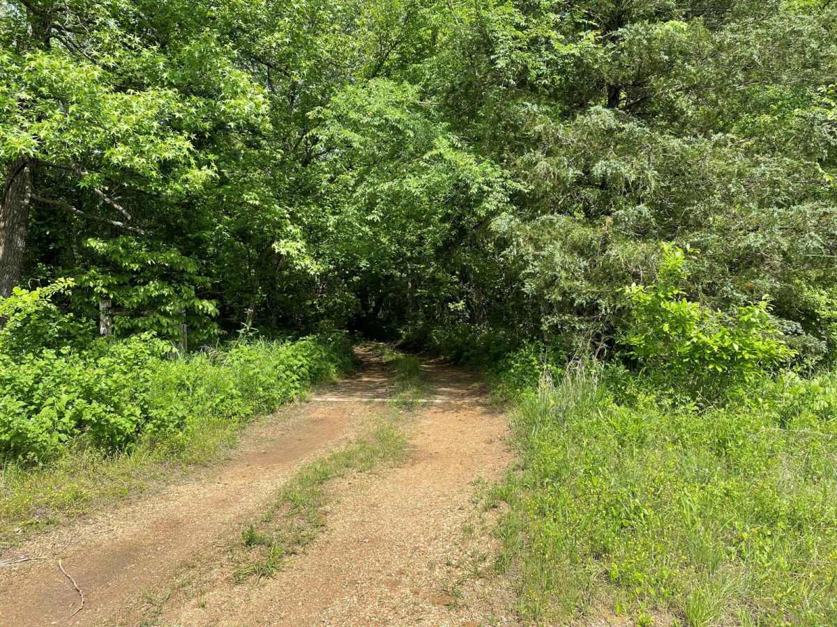 Lone Star School Road (FS 3824) photo 4