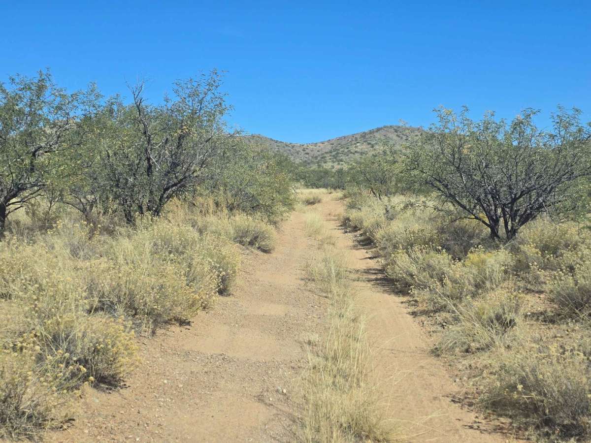 San Luis Mine Trail photo 4
