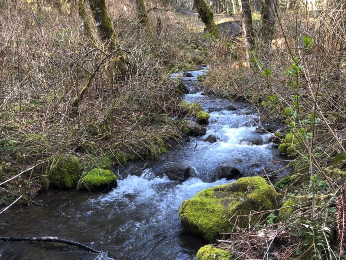 Dovre Peak Bypass trail photo