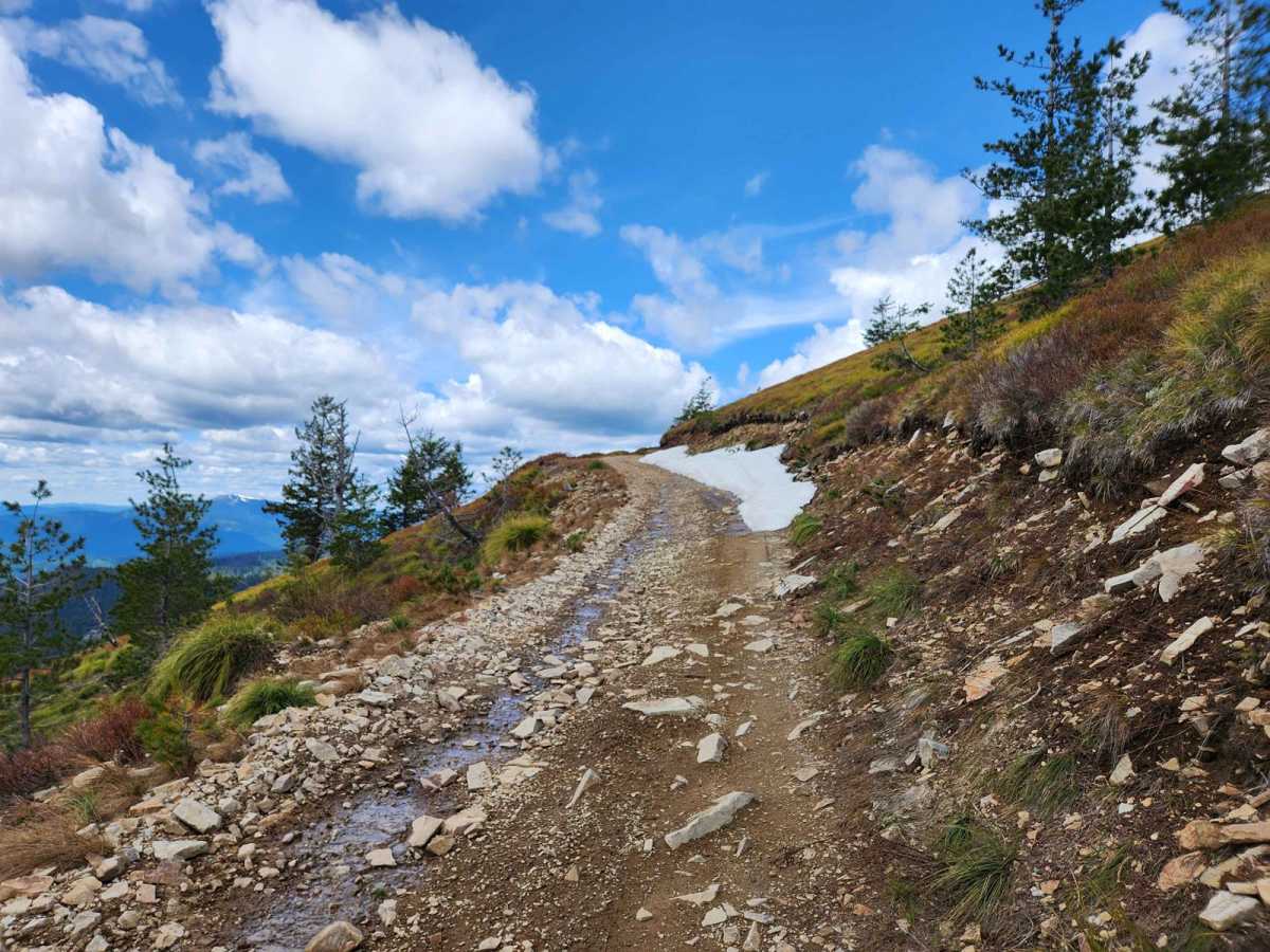Bloom Peak Trail photo 6