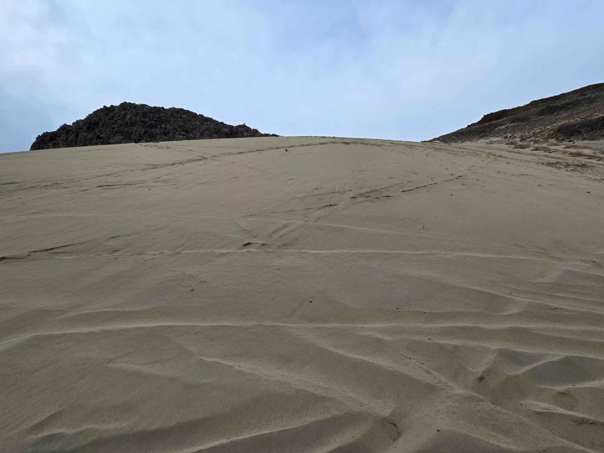Sandy Saddle photo 5