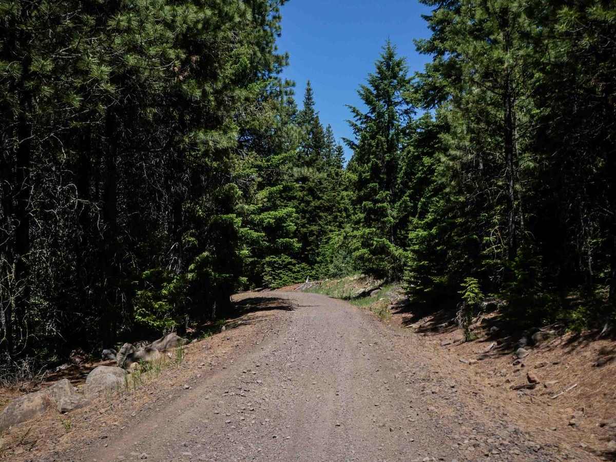 576F trail photo