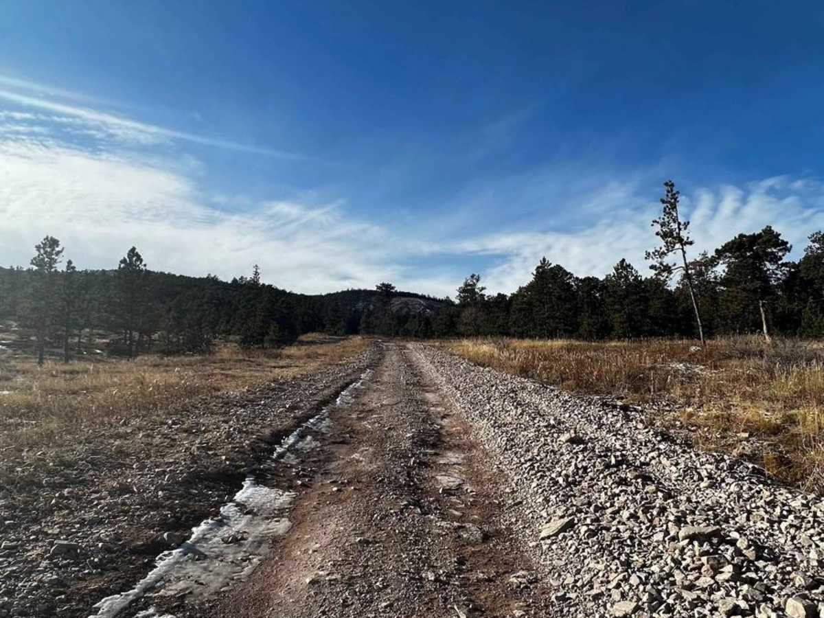 Piedmont To Nemo Trail photo 5