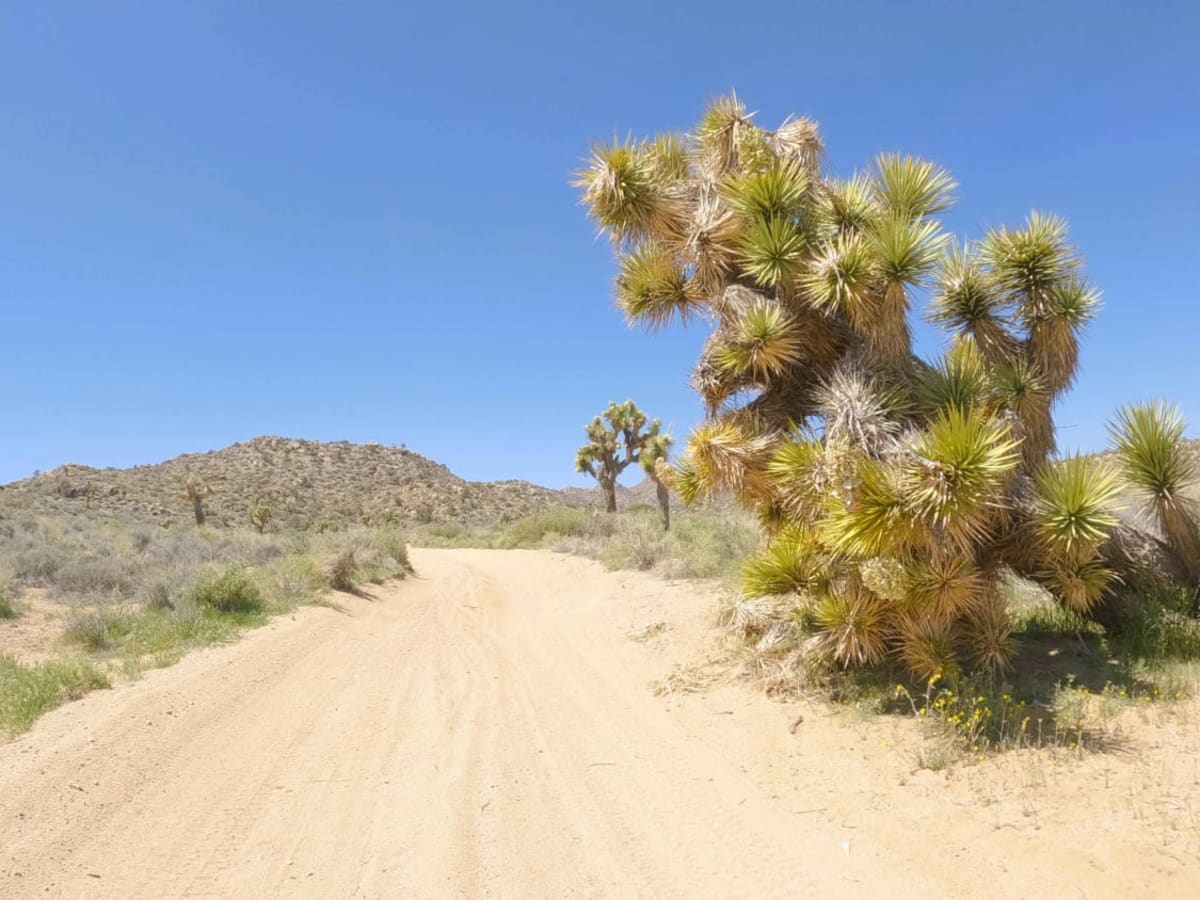 New Dixie Mine Road - BLM C2330 trail photo