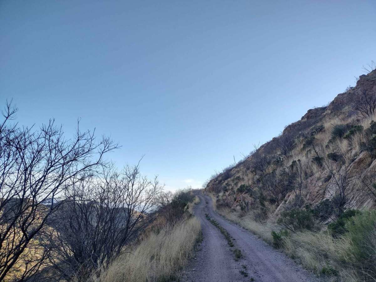 Forest Road 183 photo 6