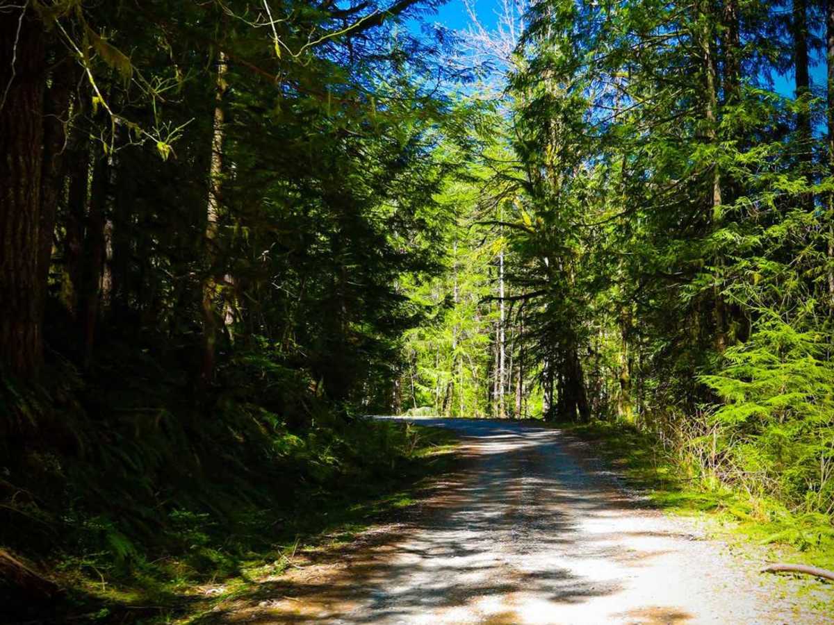 North Fork Stilly photo 5